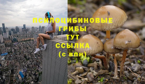 PSILOCYBIN Верея